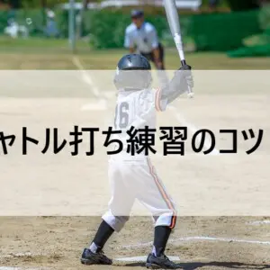 少年野球】自宅で出来る！シャトル打ちバッティング練習法