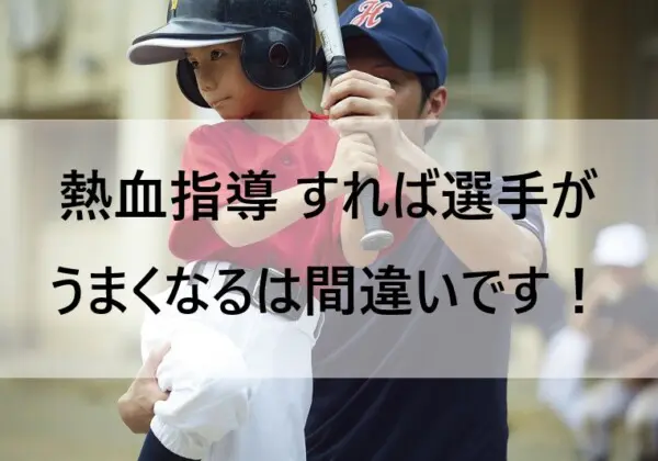 野球瞬速上達塾 ・ 川端健太の 「 芯食いバッティング 」 理論DVD 2組