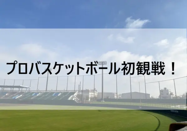 縦振り先生 | お父さんのための野球教室